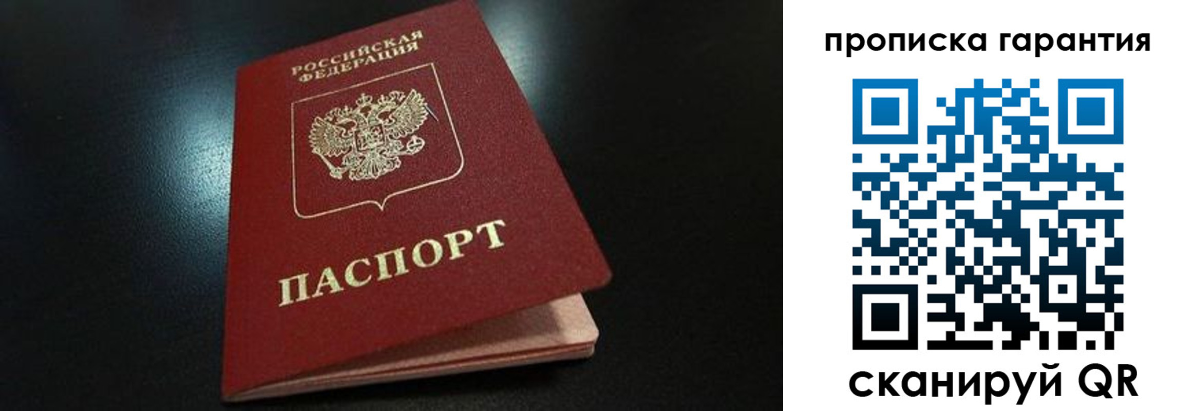 прописка поиск в Петропавловске-Камчатском